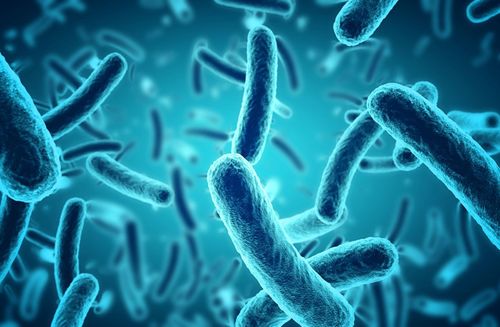 Start-up aus Cambridge will den Code des Lebens neu schreiben