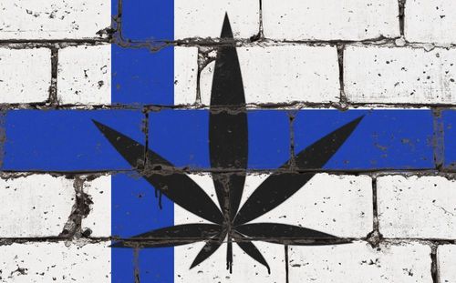Finnland: Die Grünen sind bereit, Cannabis zu legalisieren