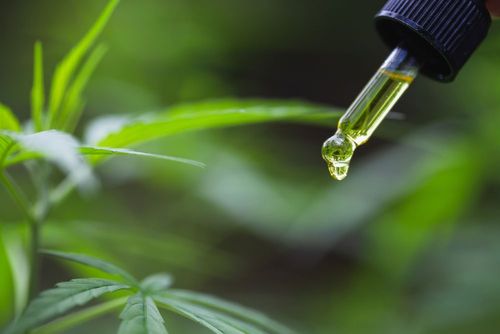 Die Zukunft von CBD entscheidet sich in der Logistik