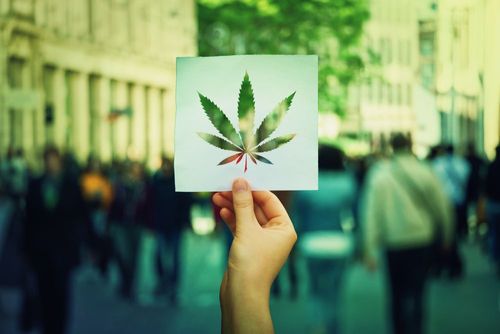 Übersicht: Hier ist Cannabis für den Freizeitgebrauch legal