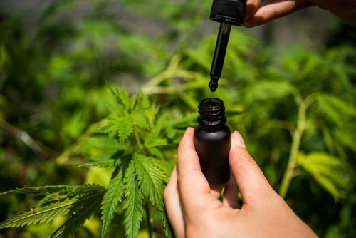 Real Brands profitiert vom CBD Boom 2.0