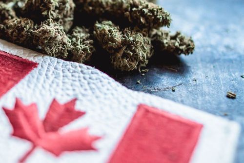 Hier sind die zwei besten Cannabisaktien des Jahres