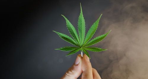 Jahresrückblick: Cannabis-Gesetze in USA