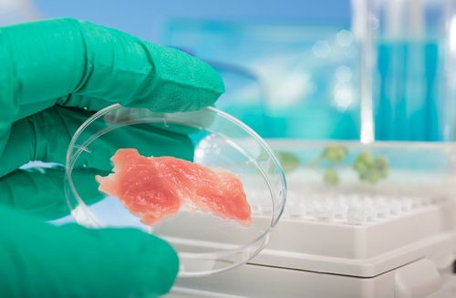 USA erlauben Verkauf von Labor-Fleisch
