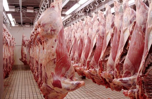 CO₂-Produktionsstopp im britischen Fleisch- und Getränkesektor sorgt für Unruhe