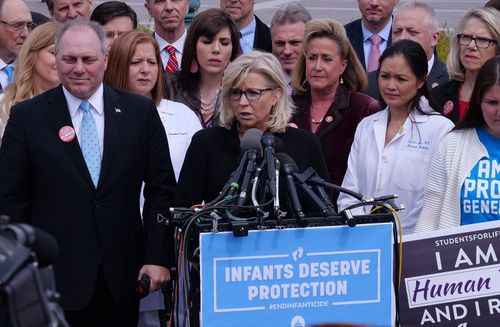 Liz Cheney denkt nach Niederlage bei Vorwahlen über Präsidentschaftskandidatur nach