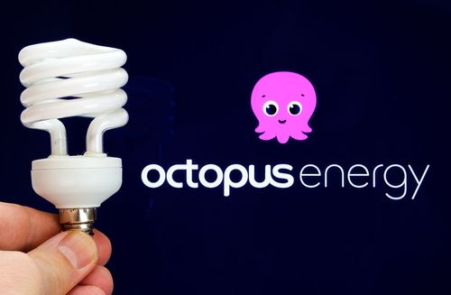 Octopus erhält 4,5 Mrd. Pfund staatliche Unterstützung für die Bulb-Übernahme