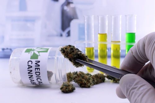 Der Gouverneur von Texas erweitert das staatliche Medical Cannabis Programm