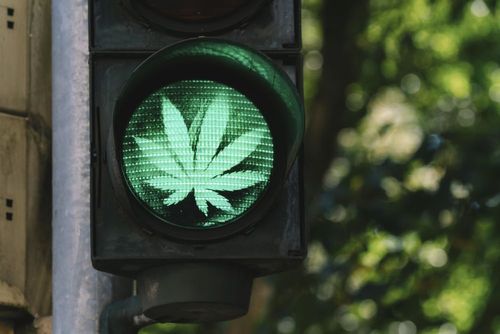 “Bestes Cannabis der Welt"