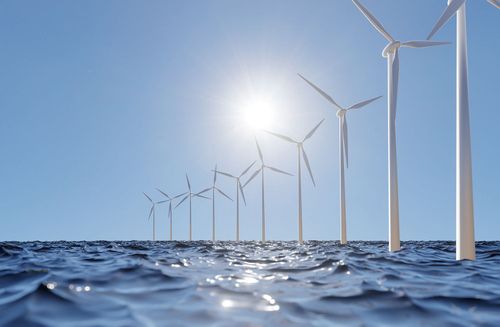 Versteigerung von Windparks: Unternehmen verzichten auf staatliche Förderung