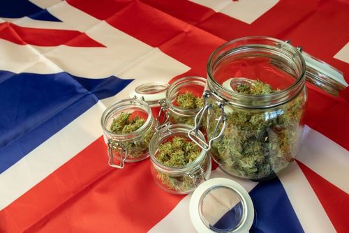 CBD Markt in Großbritannien könnte dieses Jahr auf 1,2 Milliarden anwachsen