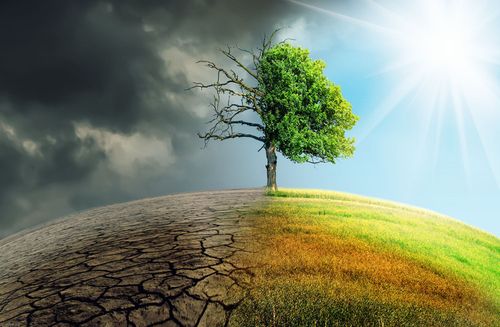 Steigende Rohstoffpreise: Auswirkungen auf Nahrungsmittel