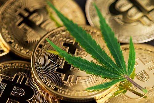Englische Polizei entdeckt illegale Bitcoin-Mining Operation