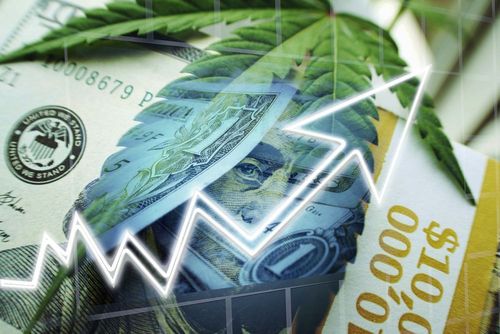 Kapitalbeschaffung für Cannabisaktien erreicht Höchststände