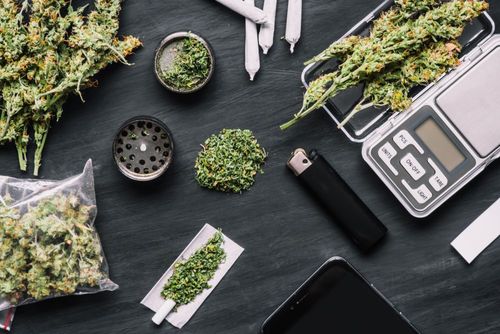 Wissenschaftler entwickeln Schnelltest für Marihuana-Konsum
