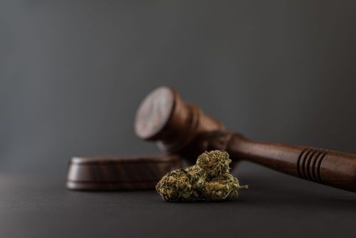 Start von Cannabis-Gewerbesteuer verschoben