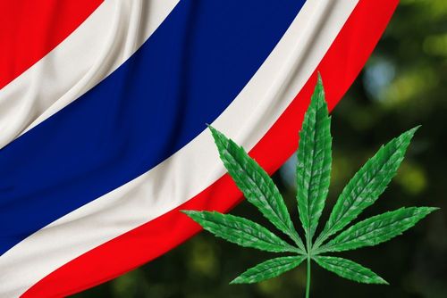 Thailand legalisiert Cannabis