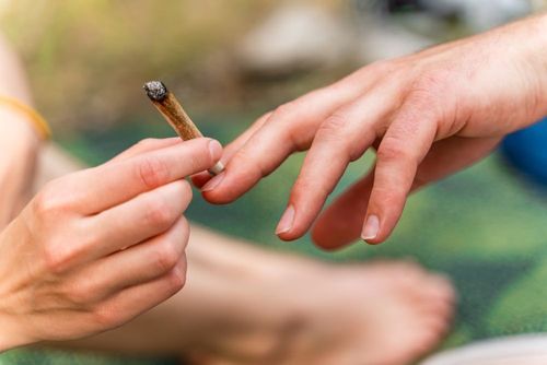 Die nächste Welle im Cannabis-Bullenmarkt