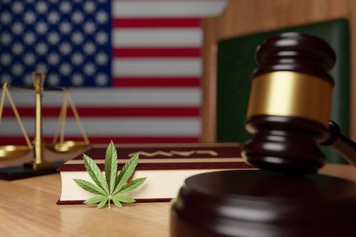 Warum die legale Cannabisindustrie im amerikanischen Süden hoch im Kurs steht