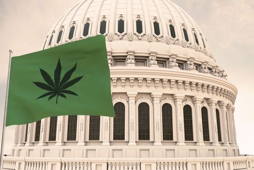 Kongress wird sich im Frühjahr mit Marihuana-Reform befassen