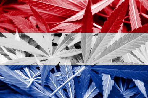 Niederlande mit Problemen bei der Freigabe von Cannabisanbau