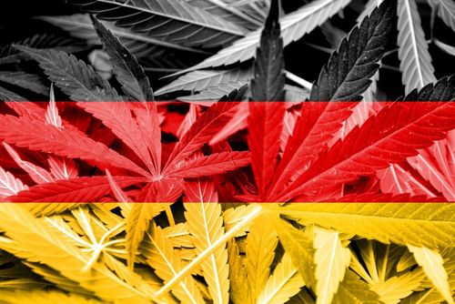 Cannabis in deutschen Hofläden?