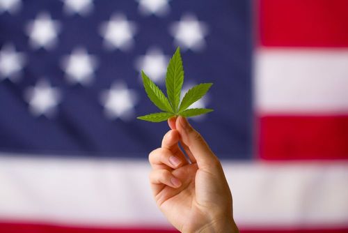 Medizinisches Cannabisprogramm in Generalversammlung