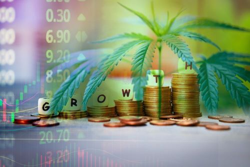 Deutschland vor der Cannabis-Legalisierung