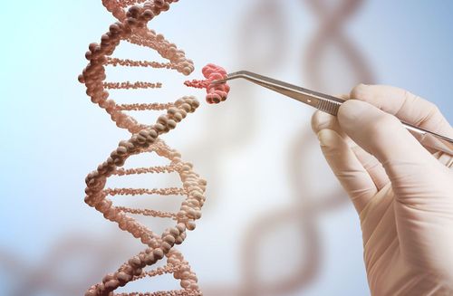 Revolutionäre Crispr-Genbearbeitung gelangt vom Labor in den Behandlungsraum