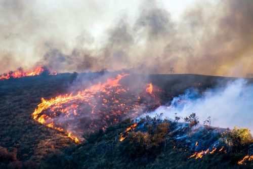 Der Rasenmäher einer Marihuanaplantage verursacht größeren Waldbrand